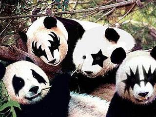 click for enlarge 400 X 300  28.6 Kb picture