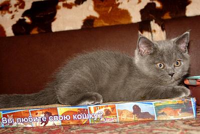 click for enlarge 1024 X 687 94.8 Kb picture