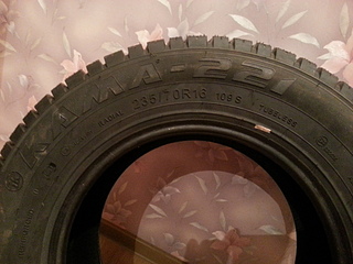 click for enlarge 1920 X 1440 771.1 Kb picture