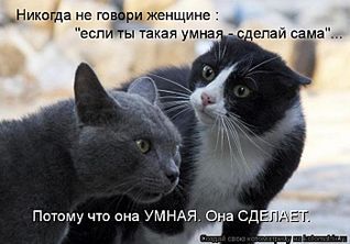 click for enlarge 700 X 487  51.4 Kb picture