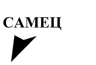 click for enlarge 600 X 407 715.5 Kb picture