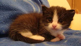 click for enlarge 1920 X 1080 891.5 Kb picture