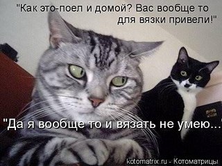click for enlarge 500 X 375  41.1 Kb picture