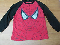 click for enlarge 1920 X 1440 490.2 Kb picture