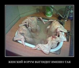 click for enlarge 300 X 259 15.0 Kb picture
