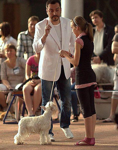 click for enlarge 507 X 640 57.5 Kb picture