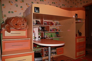 click for enlarge 1920 X 1280 1018.5 Kb picture