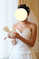 click for enlarge 1338 X 1999 255.4 Kb picture