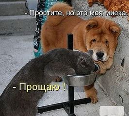 click for enlarge 400 X 360 30.8 Kb picture