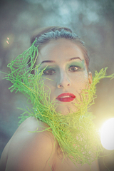 click for enlarge 1000 X 1500 695.2 Kb picture