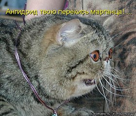 click for enlarge 650 X 556 93.9 Kb picture