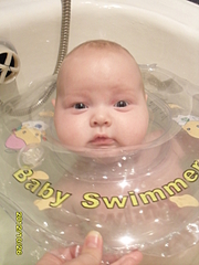click for enlarge 1920 X 2560 172.2 Kb picture