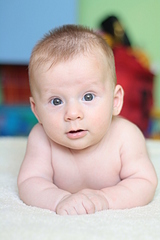 click for enlarge 1920 X 2880 166.0 Kb picture