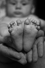 click for enlarge 1920 X 2880 953.4 Kb picture