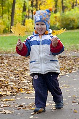 click for enlarge 1527 X 2283 266.5 Kb picture