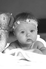 click for enlarge 1920 X 2880 474.4 Kb picture