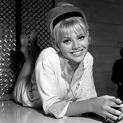 click for enlarge 400 X 400 35.8 Kb picture
