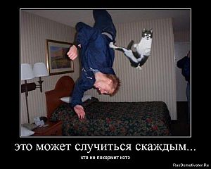 click for enlarge 600 X 480  34.8 Kb picture