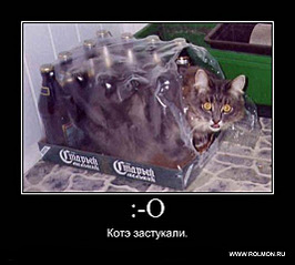 click for enlarge 533 X 480  47.2 Kb picture
