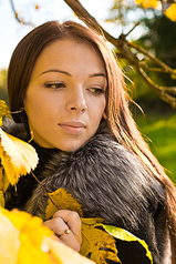 click for enlarge 533 X 800 365.8 Kb picture