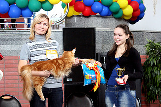 click for enlarge 1920 X 1280 718.1 Kb picture
