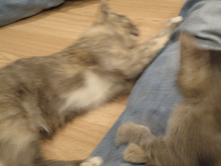 click for enlarge 1920 X 1440 109.2 Kb picture