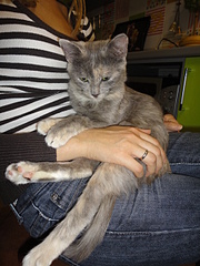 click for enlarge 1920 X 2560 581.2 Kb picture