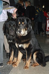 click for enlarge 537 X 807  90.3 Kb picture