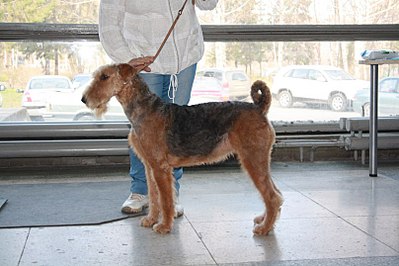 click for enlarge 807 X 538  84.1 Kb picture