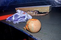 click for enlarge 1280 X 853 264.3 Kb picture