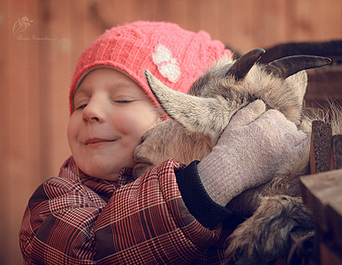 click for enlarge 900 X 697 240.2 Kb picture