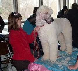 click for enlarge 374 X 336 68.0 Kb picture