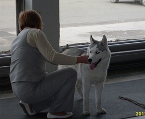 click for enlarge 410 X 336 60.3 Kb picture