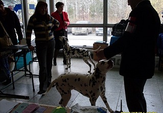 click for enlarge 448 X 310 73.5 Kb picture