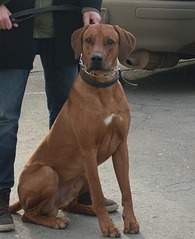 click for enlarge 336 X 412 59.6 Kb picture