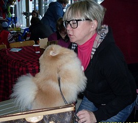 click for enlarge 378 X 336 63.7 Kb picture