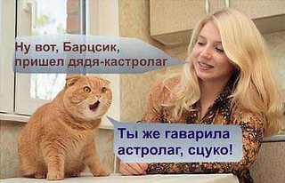 click for enlarge 500 X 322  20.1 Kb picture