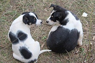 click for enlarge 1280 X 853 294.7 Kb picture