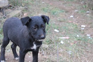 click for enlarge 1280 X 853 135.2 Kb picture