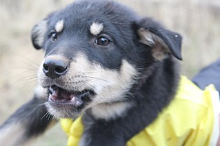 click for enlarge 1280 X 853 129.7 Kb picture