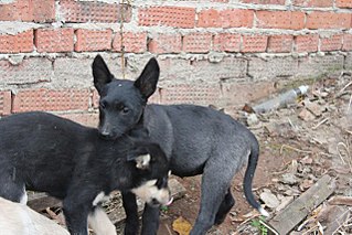 click for enlarge 1280 X 853 231.4 Kb picture