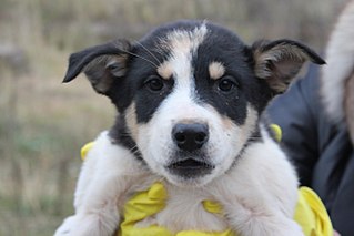 click for enlarge 1280 X 853 113.2 Kb picture