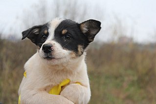 click for enlarge 1280 X 853 97.5 Kb picture