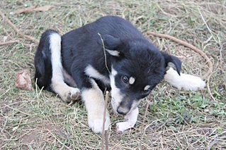 click for enlarge 1280 X 853 225.3 Kb picture