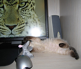 click for enlarge 600 X 510 117.8 Kb picture