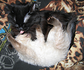 click for enlarge 600 X 501 328.2 Kb picture
