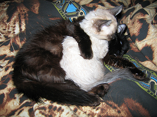 click for enlarge 600 X 450 312.8 Kb picture