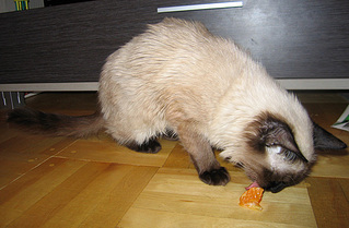 click for enlarge 600 X 393 101.2 Kb picture