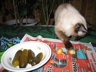 click for enlarge 600 X 450 151.9 Kb picture