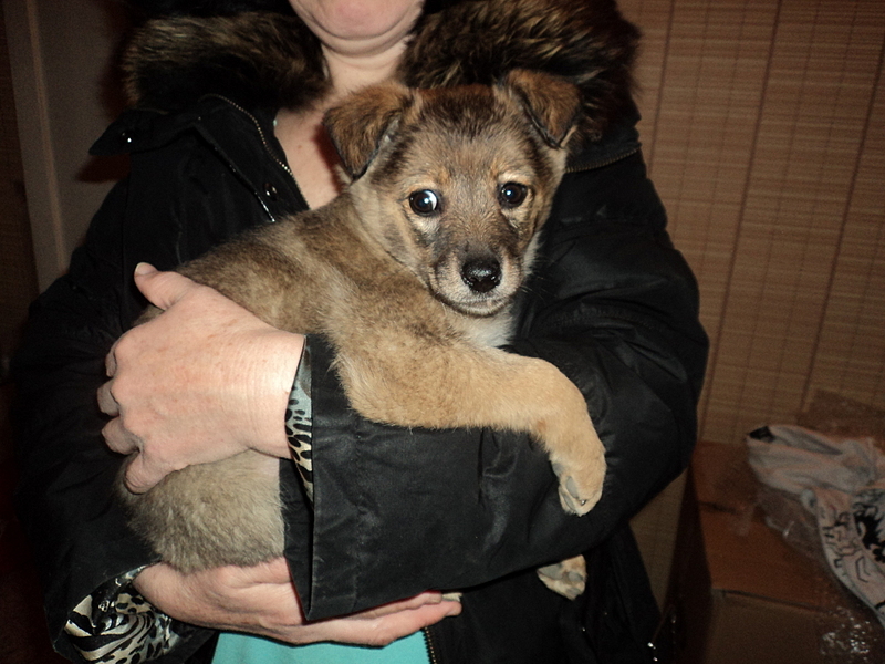 click for enlarge 1920 X 1440 151.9 Kb picture